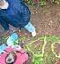 Image11.gif