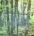 Image5.gif